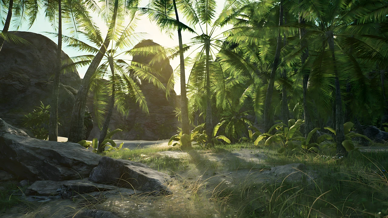 Sunlit jungle path between ferns and palms
