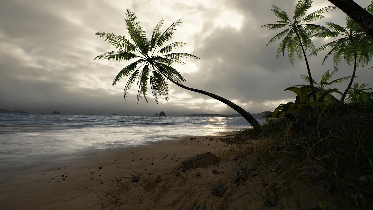 A palm-fringed tropical shore